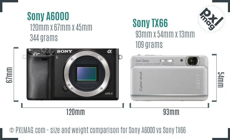 Sony A6000 vs Sony TX66 size comparison