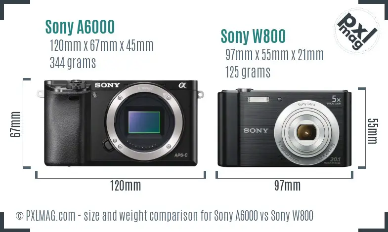 Sony A6000 vs Sony W800 size comparison