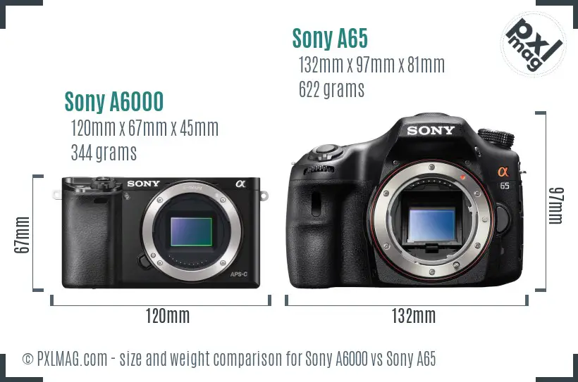 Sony A6000 vs Sony A65 size comparison