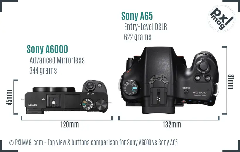 Sony A6000 vs Sony A65 top view buttons comparison
