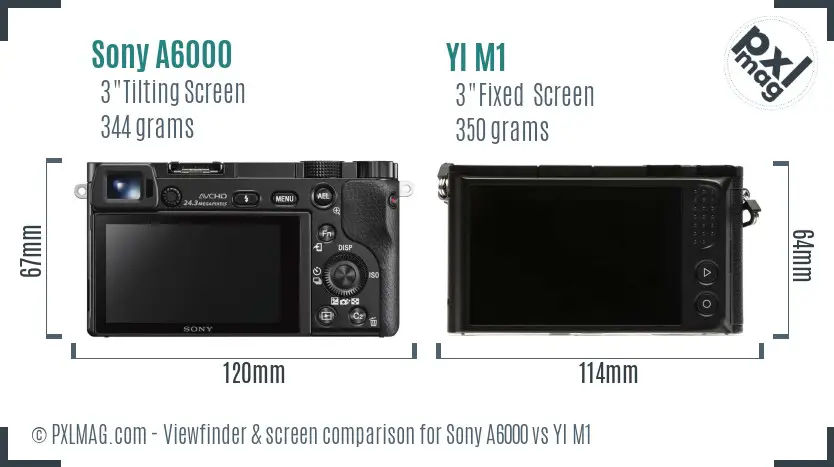 Sony A6000 vs YI M1 Screen and Viewfinder comparison