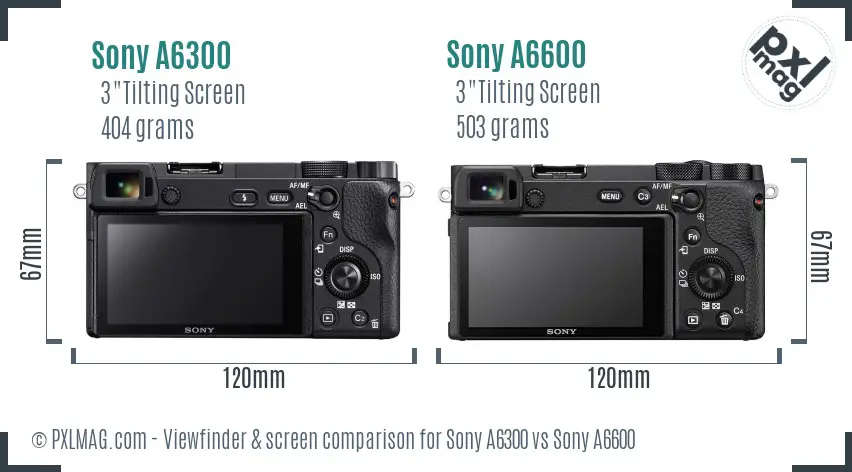 Sony A6300 vs Sony A6600 Screen and Viewfinder comparison