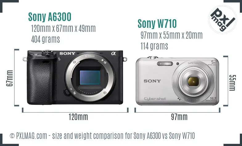 Sony A6300 vs Sony W710 size comparison