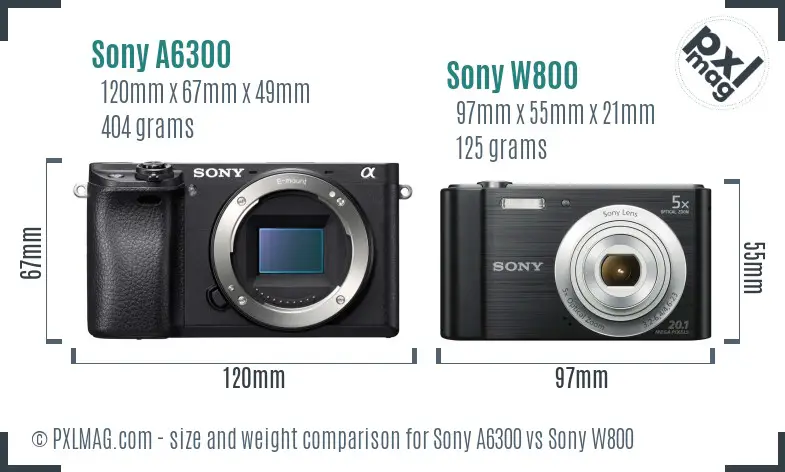 Sony A6300 vs Sony W800 size comparison