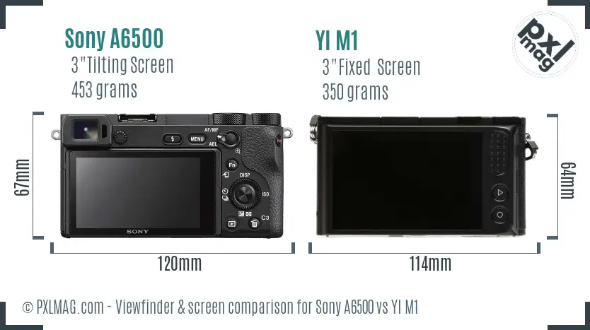 Sony A6500 vs YI M1 Screen and Viewfinder comparison