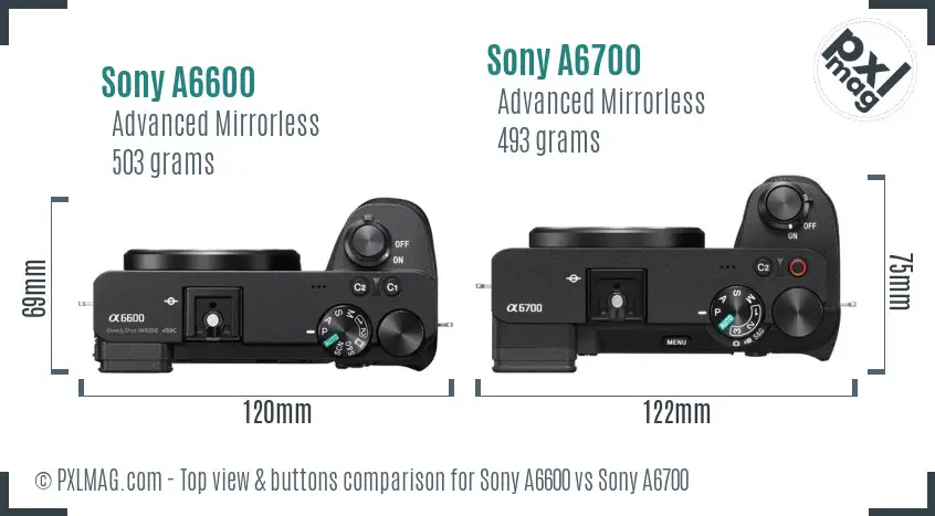 Sony A6600 vs Sony A6700 top view buttons comparison