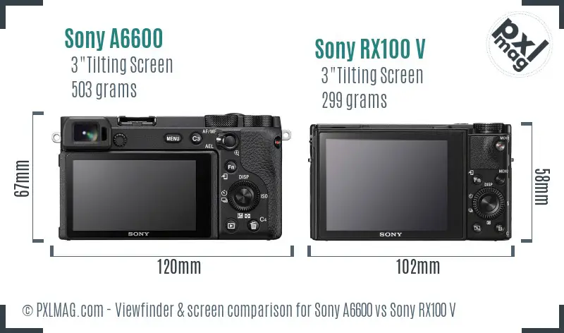 Sony A6600 vs Sony RX100 V Screen and Viewfinder comparison