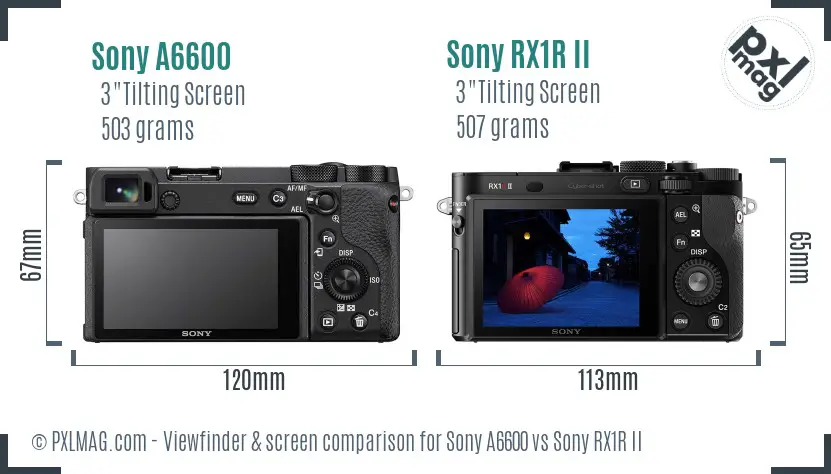 Sony A6600 vs Sony RX1R II Screen and Viewfinder comparison