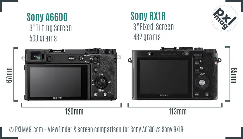 Sony A6600 vs Sony RX1R Screen and Viewfinder comparison