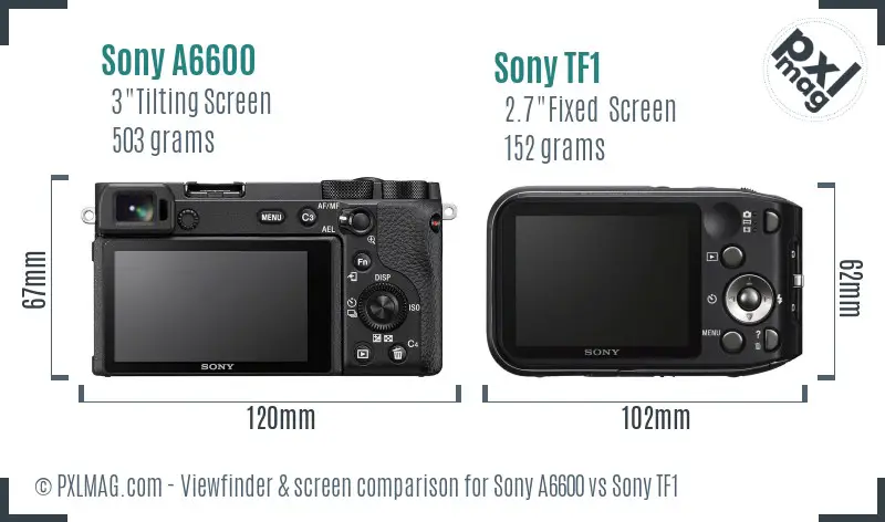 Sony A6600 vs Sony TF1 Screen and Viewfinder comparison