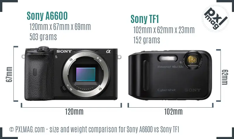Sony A6600 vs Sony TF1 size comparison