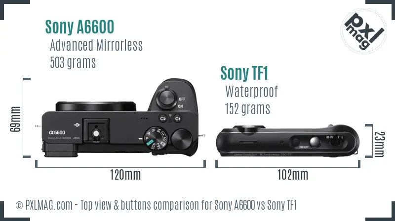 Sony A6600 vs Sony TF1 top view buttons comparison