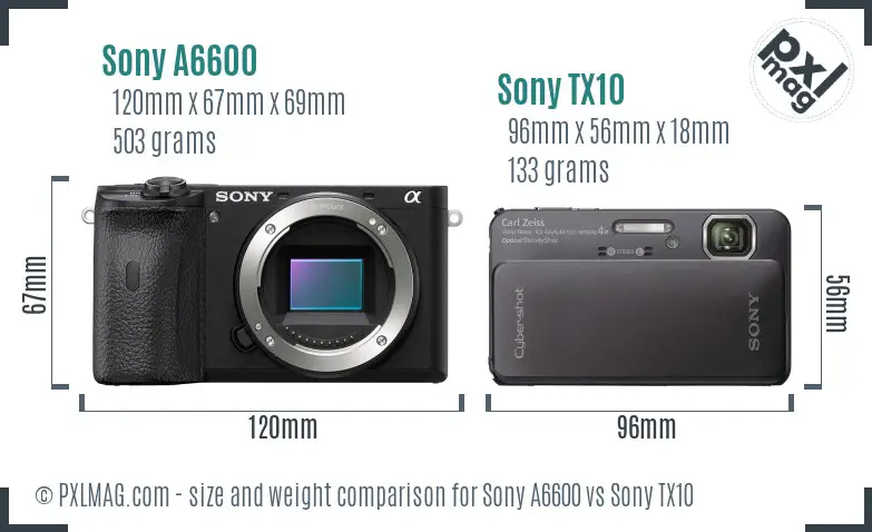 Sony A6600 vs Sony TX10 size comparison