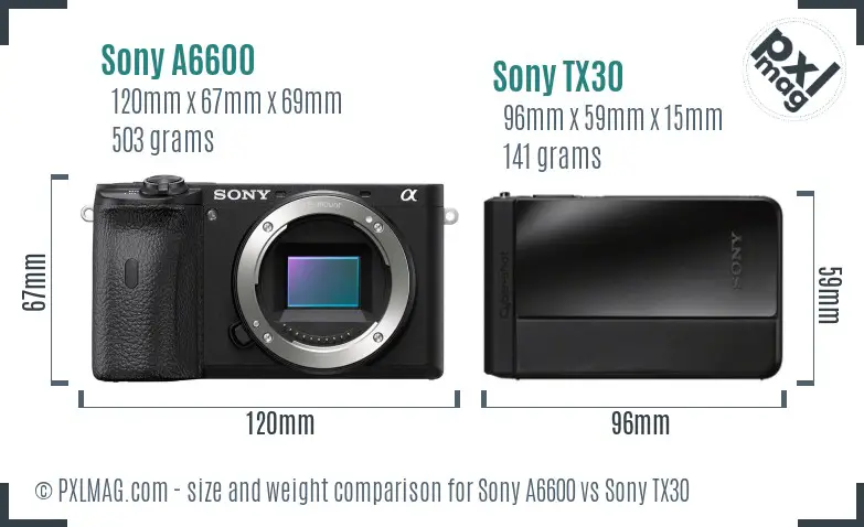 Sony A6600 vs Sony TX30 size comparison
