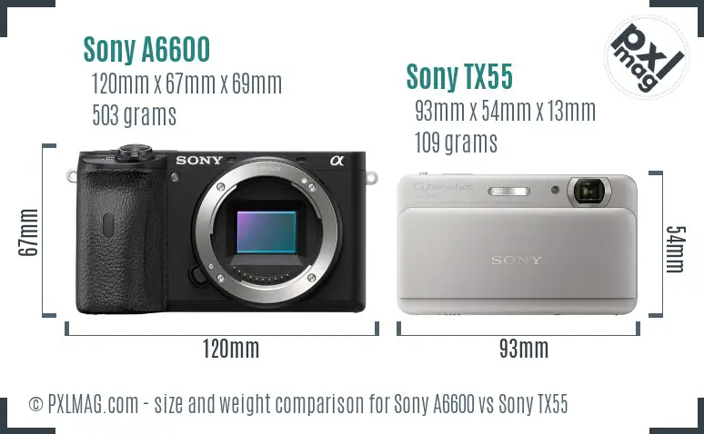 Sony A6600 vs Sony TX55 size comparison