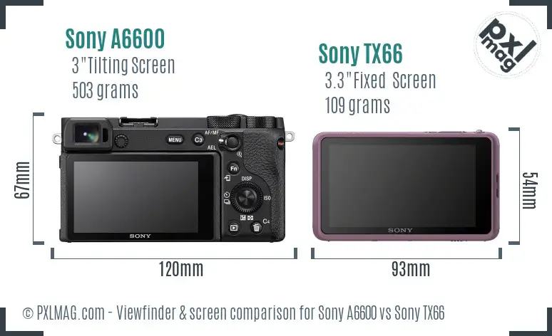 Sony A6600 vs Sony TX66 Screen and Viewfinder comparison