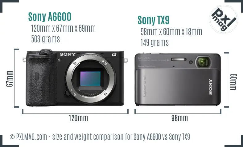 Sony A6600 vs Sony TX9 size comparison