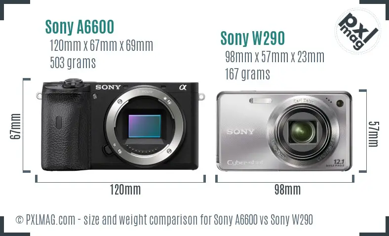 Sony A6600 vs Sony W290 size comparison