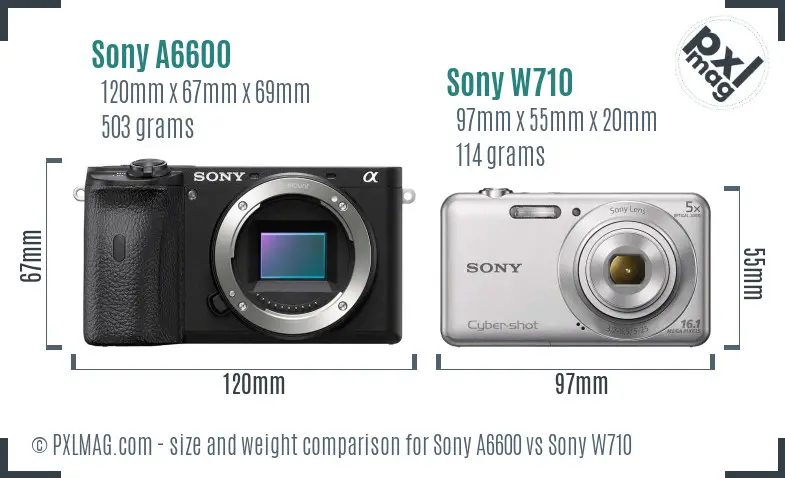Sony A6600 vs Sony W710 size comparison