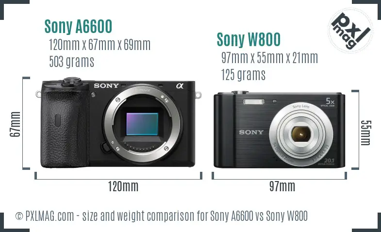 Sony A6600 vs Sony W800 size comparison