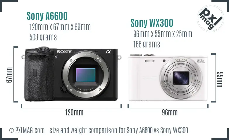 Sony A6600 vs Sony WX300 size comparison