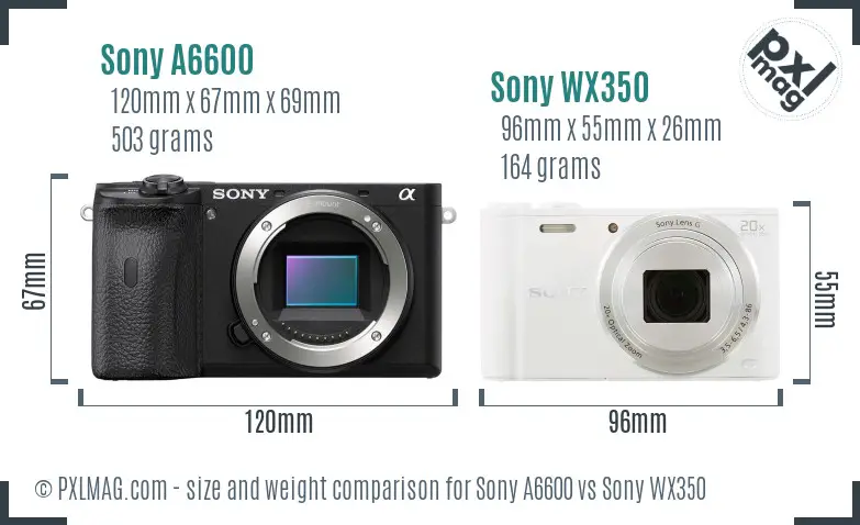 Sony A6600 vs Sony WX350 size comparison