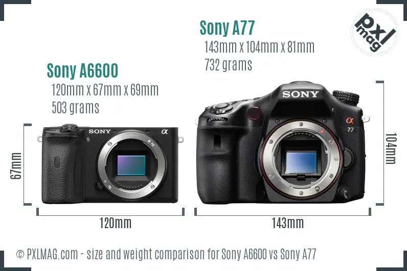 Sony A6600 vs Sony A77 size comparison
