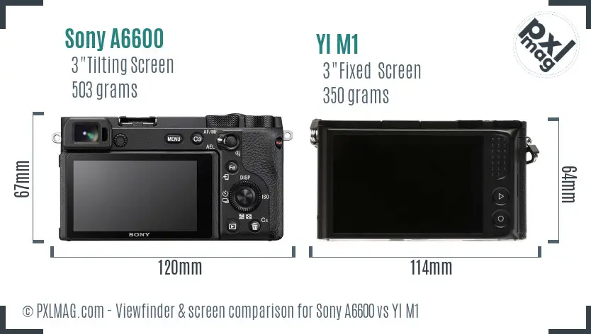 Sony A6600 vs YI M1 Screen and Viewfinder comparison