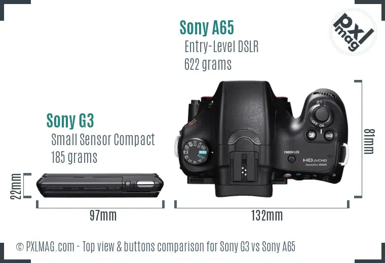 Sony G3 vs Sony A65 top view buttons comparison