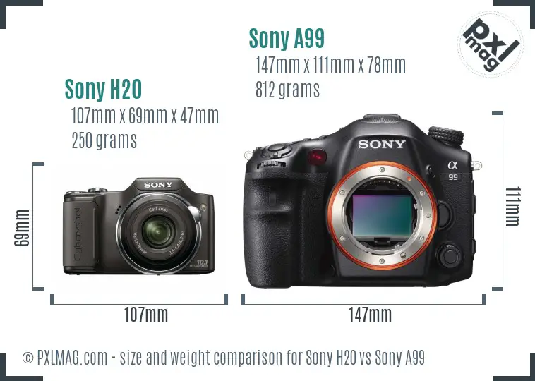 Sony H20 vs Sony A99 size comparison