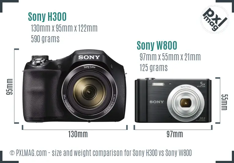 Sony H300 vs Sony W800 size comparison