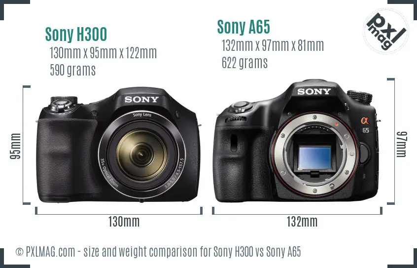 Sony H300 vs Sony A65 size comparison