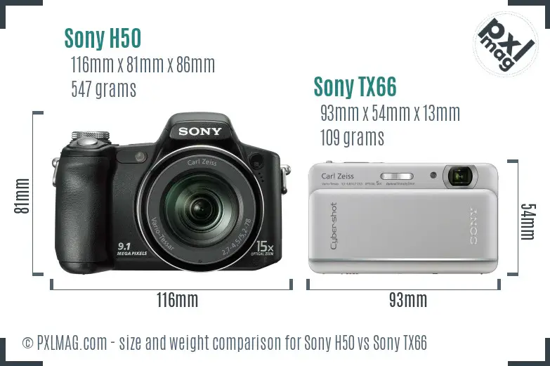 Sony H50 vs Sony TX66 size comparison