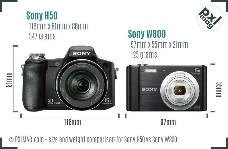 Sony H50 vs Sony W800 size comparison