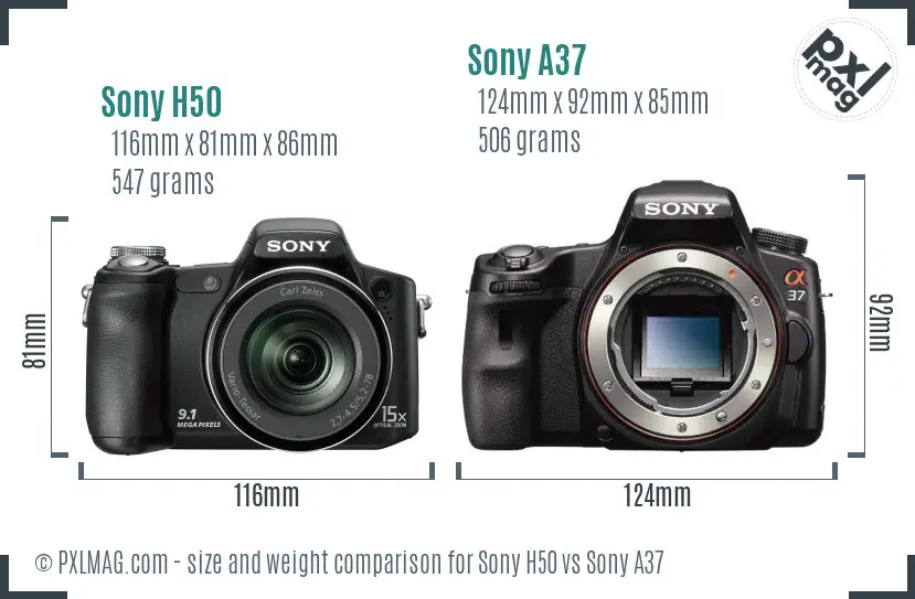 Sony H50 vs Sony A37 size comparison