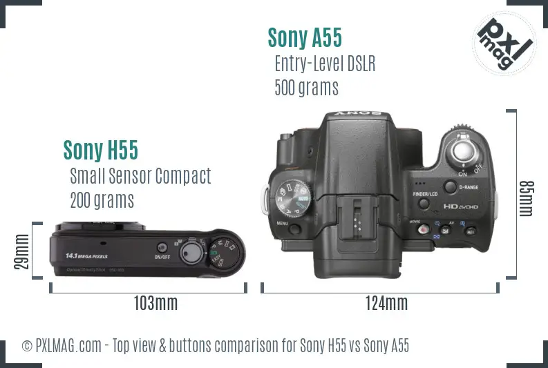 Sony H55 vs Sony A55 top view buttons comparison
