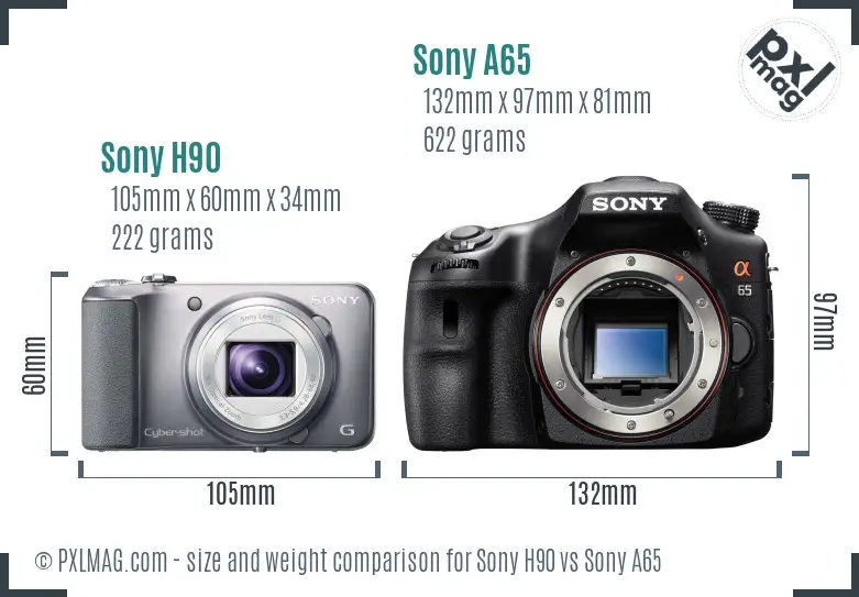 Sony H90 vs Sony A65 size comparison