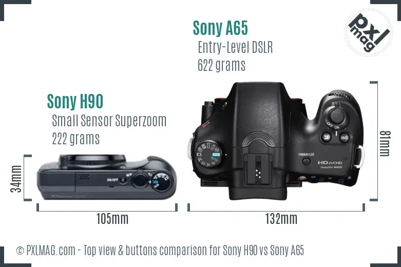 Sony H90 vs Sony A65 top view buttons comparison