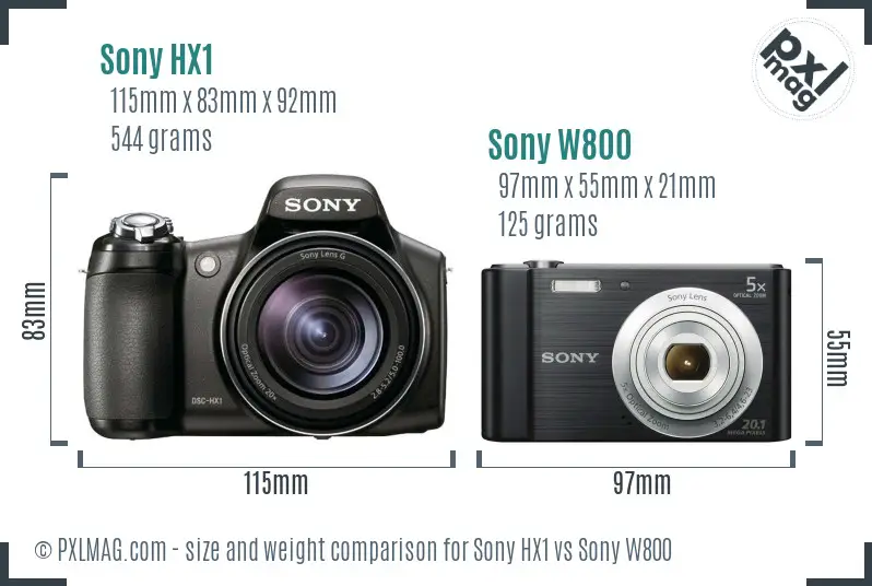 Sony HX1 vs Sony W800 size comparison