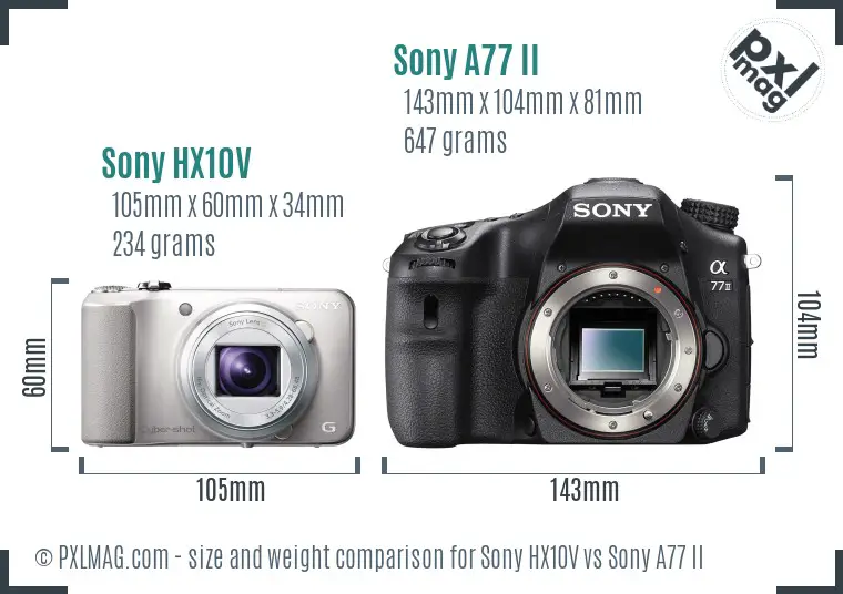 Sony HX10V vs Sony A77 II size comparison