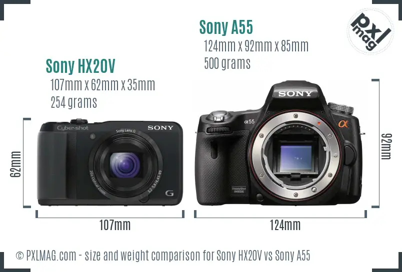 Sony HX20V vs Sony A55 size comparison