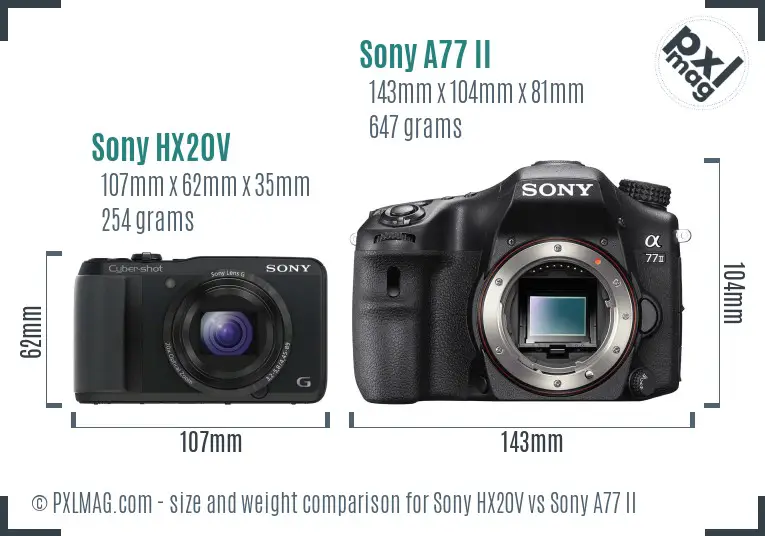 Sony HX20V vs Sony A77 II size comparison