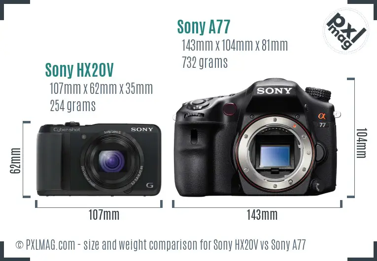 Sony HX20V vs Sony A77 size comparison