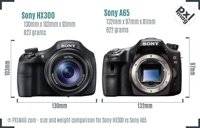Sony HX300 vs Sony A65 size comparison
