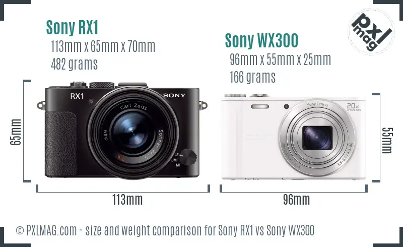 Sony RX1 vs Sony WX300 size comparison