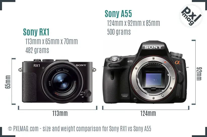 Sony RX1 vs Sony A55 size comparison