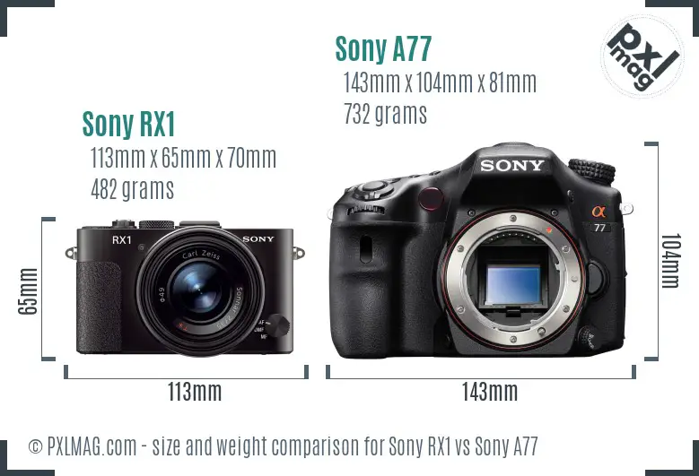 Sony RX1 vs Sony A77 size comparison