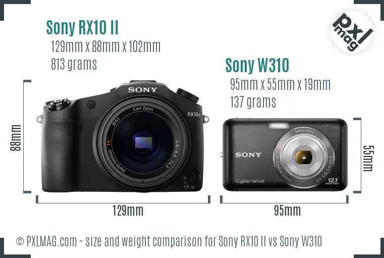 Sony RX10 II vs Sony W310 size comparison