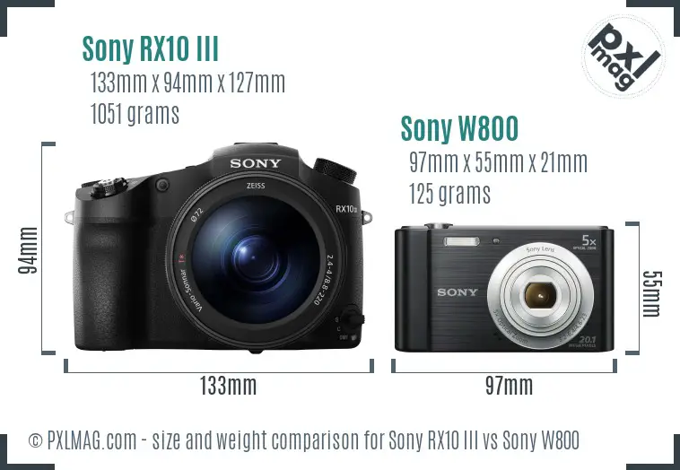 Sony RX10 III vs Sony W800 size comparison