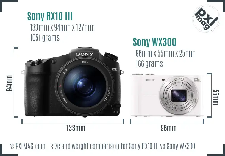 Sony RX10 III vs Sony WX300 size comparison